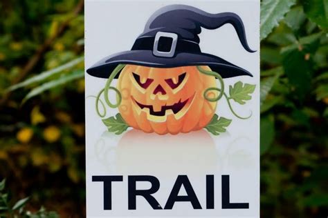 Trail D'halloween 2022 Saint Paul Les Dax Photos Trail d’Halloween de St Paul les Dax : informations et résultats | U-trail